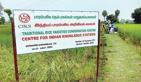 உழவு முதல் உணவாக்குதல் வரை: இயற்கை விவசாயிகளுக்கு வழிகாட்டும் சி.ஐ.கே.எஸ்.