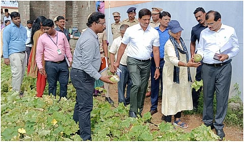 விழுப்புரம் மாவட்டத்தின் வெள்ளம் பாதித்த பகுதிகளில் மத்திய குழுவினர் ஆய்வு