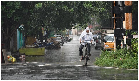 படம்: எஸ். குரு பிரசாத்