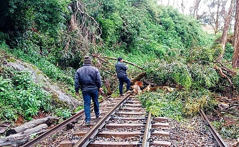 நீலகிரியில் பரவலாக மழை: உதகை - குன்னூர் இடையே ரயில் சேவை ரத்து