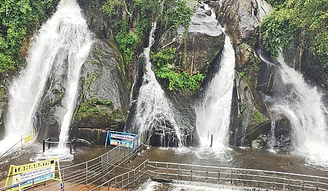 தென்காசி மாவட்டம் பழைய குற்றாலம் மற்றும் ஐந்தருவியில் நீர்வரத்து அதிகரித்ததால் குளிக்கத் தடை விதிக்கப்பட்டது