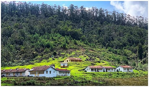 தொடர் மழையால் கொடைக்கானல் பேரிஜம் ஏரி செல்ல தடை