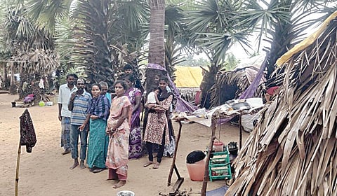 காரைத்திட்டு அருகே பாலாற்றின் முகத்துவாரம் பகுதியில் குடிசைகள் அமைத்து தங்கியுள்ள இருளர் பழங்குடியினர்.