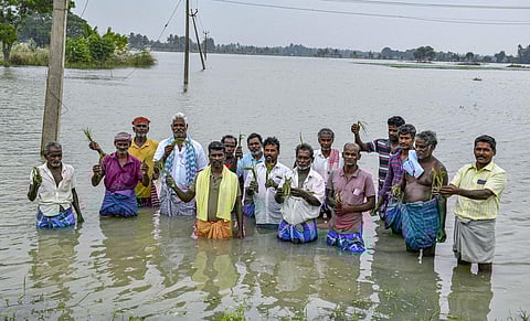 தஞ்சாவூர், கடலூர் உள்ளிட்ட பல்வேறு மாவட்டங்களில் பல்லாயிரம் ஏக்கர் பரப்பிலான நெற்பயிர்கள் நீரில் மூழ்கின