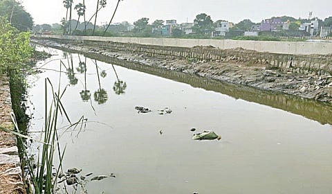 அருந்ததியர் மற்றும் ஆதிதிராவிடர் நகர் பகுதியில் உள்ள மஞ்சள்நீர் கால்வாயில் பக்கவாட்டு சுவர் அமைக்கும் பணிகள் நடைபெற்று வருகிறது.