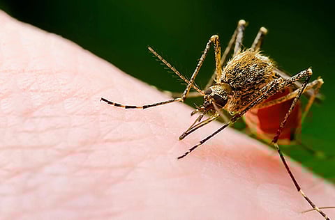 குறியீட்டுப் படம்