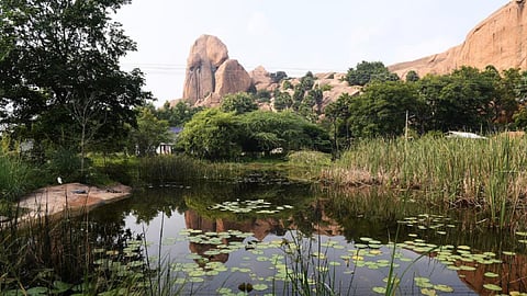 அரிட்டாபட்டி டங்ஸ்டன் சுரங்க திட்டத்தை கைவிட தொல்லியல் அறிஞர்களின் கூட்டறிக்கை