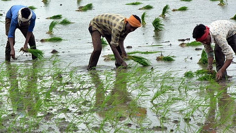 பிரதமரின் கிசான் சம்பதா திட்டத்தின் கீழ் ரூ.31,830 கோடி மதிப்பில் 1,646 திட்டங்களுக்கு ஒப்புதல்