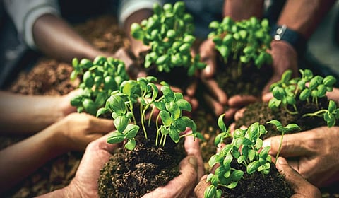 இயற்கை விவசாயத்தின் புதிய அத்தியாயம்! | தந்தேவாடா