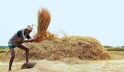 மோகனூர்... முகவைனூர்... முகவை...