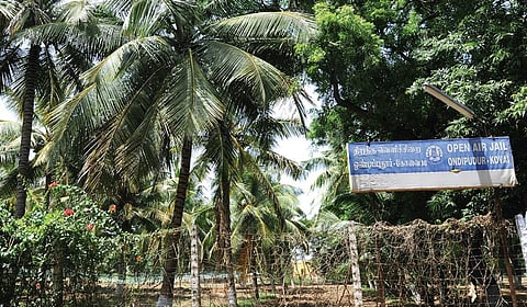 மரங்களை வெட்டித்தான் மைதானம் அமைக்க வேண்டுமா..? - கோவை சர்வதேச கிரிக்கெட் ஸ்டேடிய சர்ச்சை