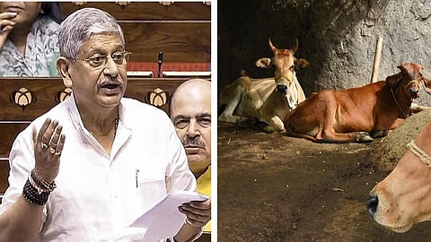 2022 முதல் தலைவர் இல்லாமல் இயங்கும் தேசிய பசுநல அமைப்பு: மத்திய அரசு தகவல்