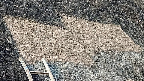 மதுரை அருகே மலைச்சரிவில் 800 ஆண்டு தொன்மையான பாண்டியர் கல்வெட்டு