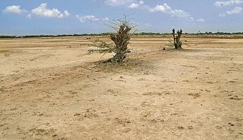 கோப்புப்படம்