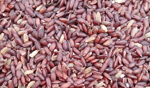 புரதம், நார்ச்சத்து மிகுந்த தில்லைநாயகம் அரிசி - விவசாயிகள் தகவல்