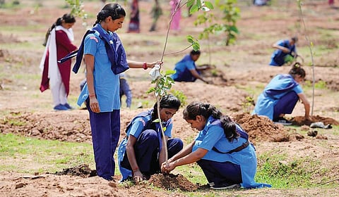 பள்ளியில் சூழலியல் மன்றங்கள் என்ன செய்ய வேண்டும்?