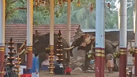 கேரள கோயில் விழாவில் 2 யானை மிரண்டு ஓடியதில் 3 பேர் உயிரிழப்பு: நடந்தது என்ன?