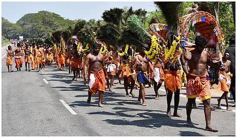 படம்: நா.தங்கரத்தினம்