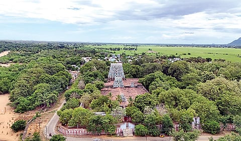 மரபை மீட்டெடுக்க நந்தவனங்களைக் காப்போம்!