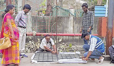 கொசு தொல்லையால் அவதிக்குள்ளாகும் சென்னை மக்கள்!