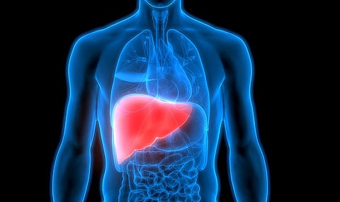 Fatty Liver: இயற்கை முறையில் எளிய தீர்வுகள் என்னென்ன?