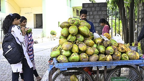 மார்ச் 21 வரை வெப்பநிலை அதிகரிக்காது: வானிலை ஆய்வு மையம் தகவல்