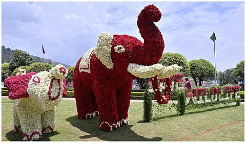 மலர் காட்சி| கோப்புப் படம்