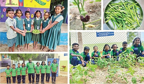 கல்வியோடு விவசாயத்தையும் கற்றுக் கொடுப்போம்