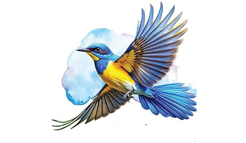 இதயத் துடிப்பு | பறப்பதுவே 14