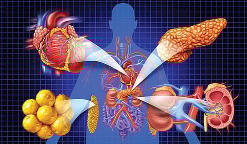 புத்தியல்பு வாழ்க்கையில் புதிய நோய்த்தொகுப்பு