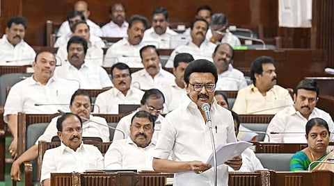 மேய்க்கால் புறம்போக்கு இடங்களுக்கு பட்டா வழங்க நடவடிக்கை: முதல்வர் ஸ்டாலின் தகவல்