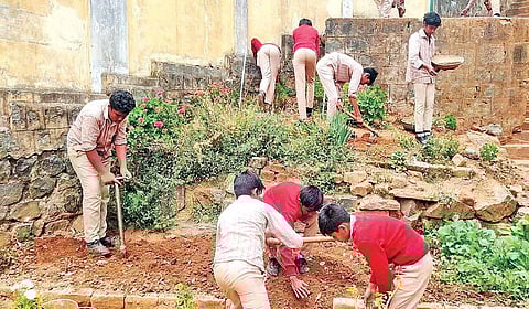 உதகை அரசு மேல்நிலைப் பள்ளியில் இயற்கை விவசாய முறையில் காய்கறி தோட்டம் அமைத்து பராமரிக்கும் மாணவர்கள்.
