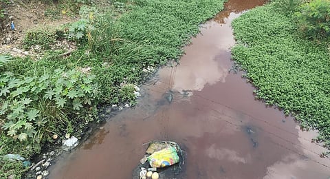 திருப்பூர் நொய்யல் ஆற்றில் கலந்த சாயக்கழிவு நீர் - பொதுமக்கள் அதிர்ச்சி