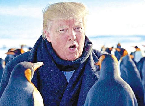 பென்குயின்கள் வாழும் தீவுகளுக்கு 10% வரி விதிப்பு: நகைச்சுவை மீம்ஸ்களாக வைரலாகும் ட்ரம்ப் உத்தரவு