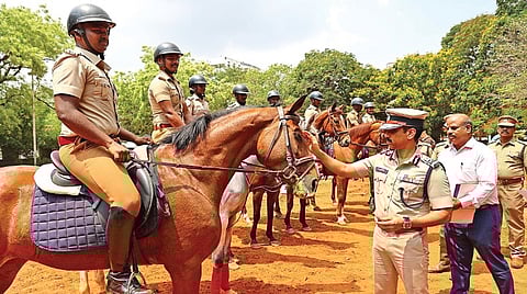 தேசிய அளவில் நடைபெற்ற குதிரையேற்றப் போட்டியில் வெற்றி பெற்ற வீரர்கள் தாங்கள் போட்டியில் எப்படி ஈடுபட்டோம் என்பதை விளக்கும் வகையில் சென்னை காவல் ஆணையர் அருணுக்கு குதிரைகளை ஓட்டி காண்பித்தனர். பின்னர் வெற்றி பெற உதவிய குதிரைகளுக்கு ஆணையர் கேரட் ஊட்டினார். | படங்கள்: ம.பிரபு |