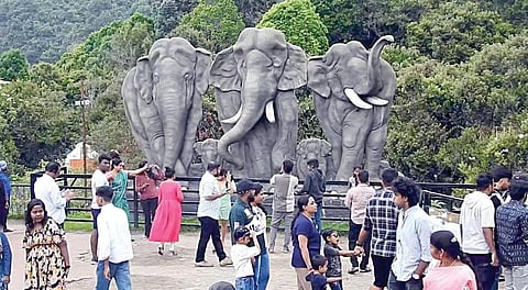 கொடைக்கானலில் குவிந்த சுற்றுலா பயணிகள்: நீண்ட வரிசையில் காத்திருந்த வாகனங்கள்