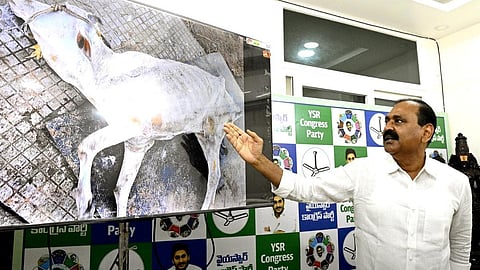 திருப்பதியில் கோசாலை அரசியல் நாடகம்: ஒய்எஸ்ஆர் காங்கிரஸார் சாலையில் தர்ணா