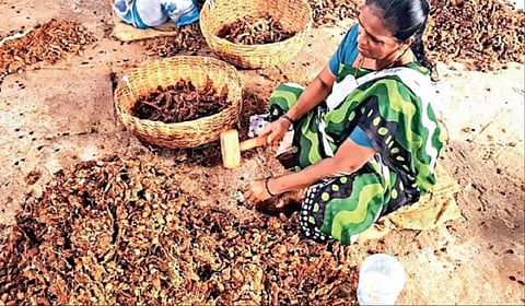 கோப்புப்படம்