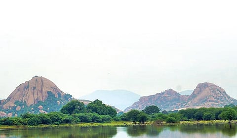 காக்கப்படுமா மதுரை கோயில் காடு?