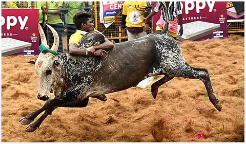 ஜல்லிக்கட்டு நடைபெறும் இடங்களில் குடிநீர் வசதி: பேரவையில் அமைச்சர் கே.என்.நேரு உறுதி