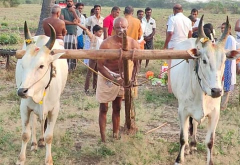 கிராமத்தில் நடைபெற்ற பொன் ஏர் பூட்டுதல் நிகழ்வு.