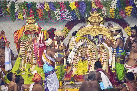 படங்கள்:நா.தங்கரத்தினம்