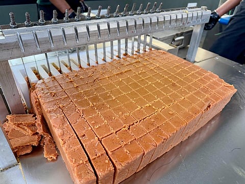 கோப்புப்படம்