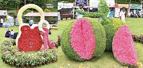 கார்னேஷன் மலர்களால் அமைக்கப்பட்டிருந்த திண்டுக்கல் பூட்டு. (அடுத்த படம்) கார்னேஷன் மலர்களால் வடிவமைக்கப்பட்டிருந்த ஆயக்குடி கொய்யா.படங்கள்: நா.தங்கரத்தினம்