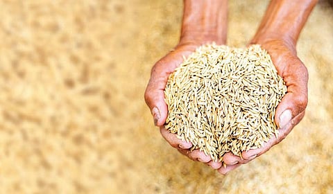 நெல் கொள்முதலில் முறைகேடு: தனியார் நிறுவனத்துக்குத் தமிழக அரசு துணைபோகலாமா?