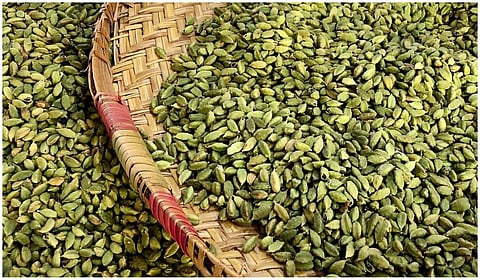 கோப்புப் படம்