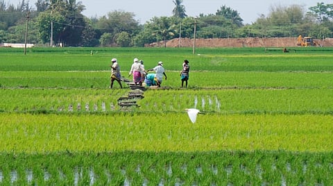 1 லட்சம் இயற்கை விவசாயிகளை ஊக்குவிக்க திட்டம்: ஐஓபி நிர்வாக இயக்குநர் அஜய் குமார் வஸ்தவா தகவல்