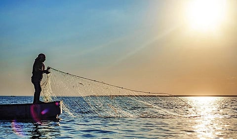 பெருவீழ்ச்சிக் காலம் | கூடு திரும்புதல் 34