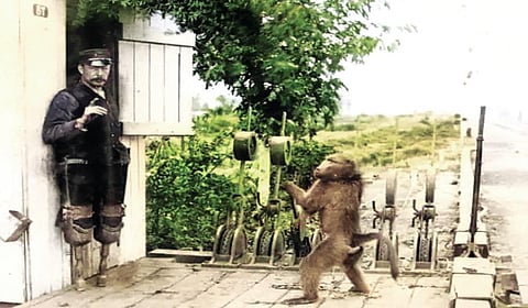 ஜாக்கும் ஜாக்கியும் | வரலாறு முக்கியம் மக்களே! - 01