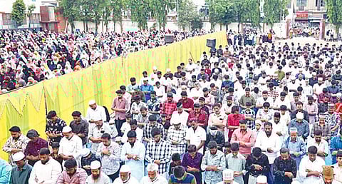 படம்: ம.பிரபு